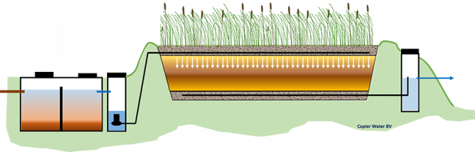 Een schematische uitwerking van een Helofytenveld